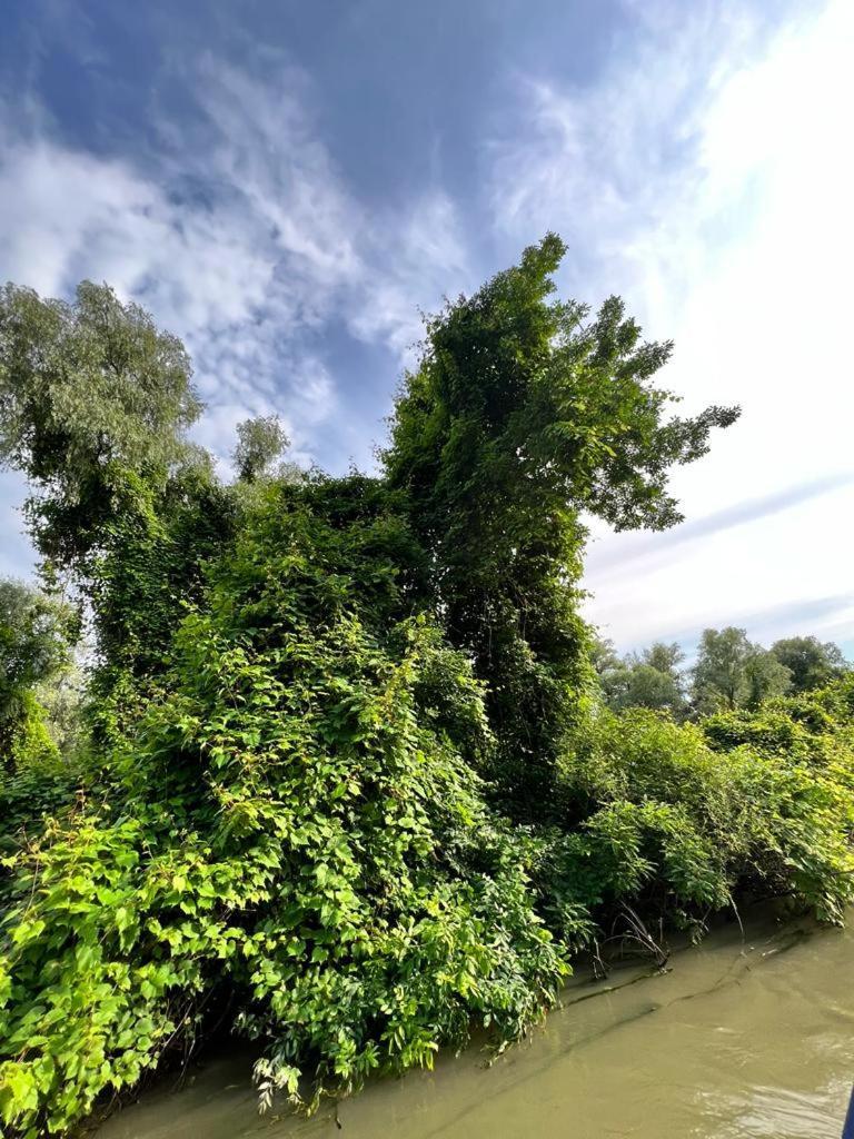 Vila Lac Murighiol Esterno foto